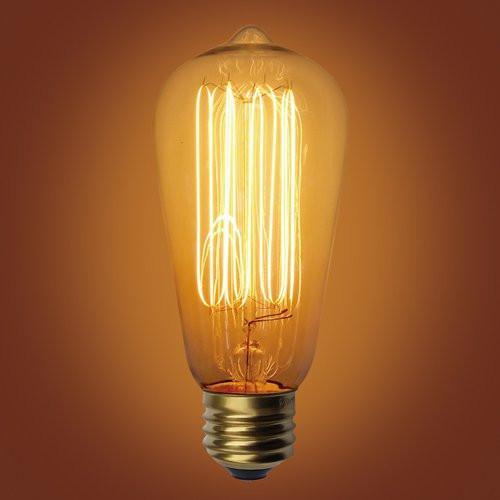 Squirrel Cage Type Vintage Edison Bulb, E26 Medium Base, 60 Watt